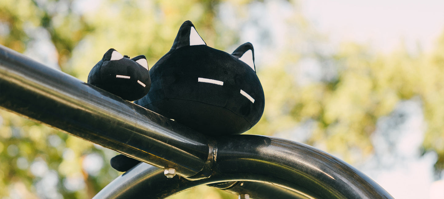 OMOCAT
