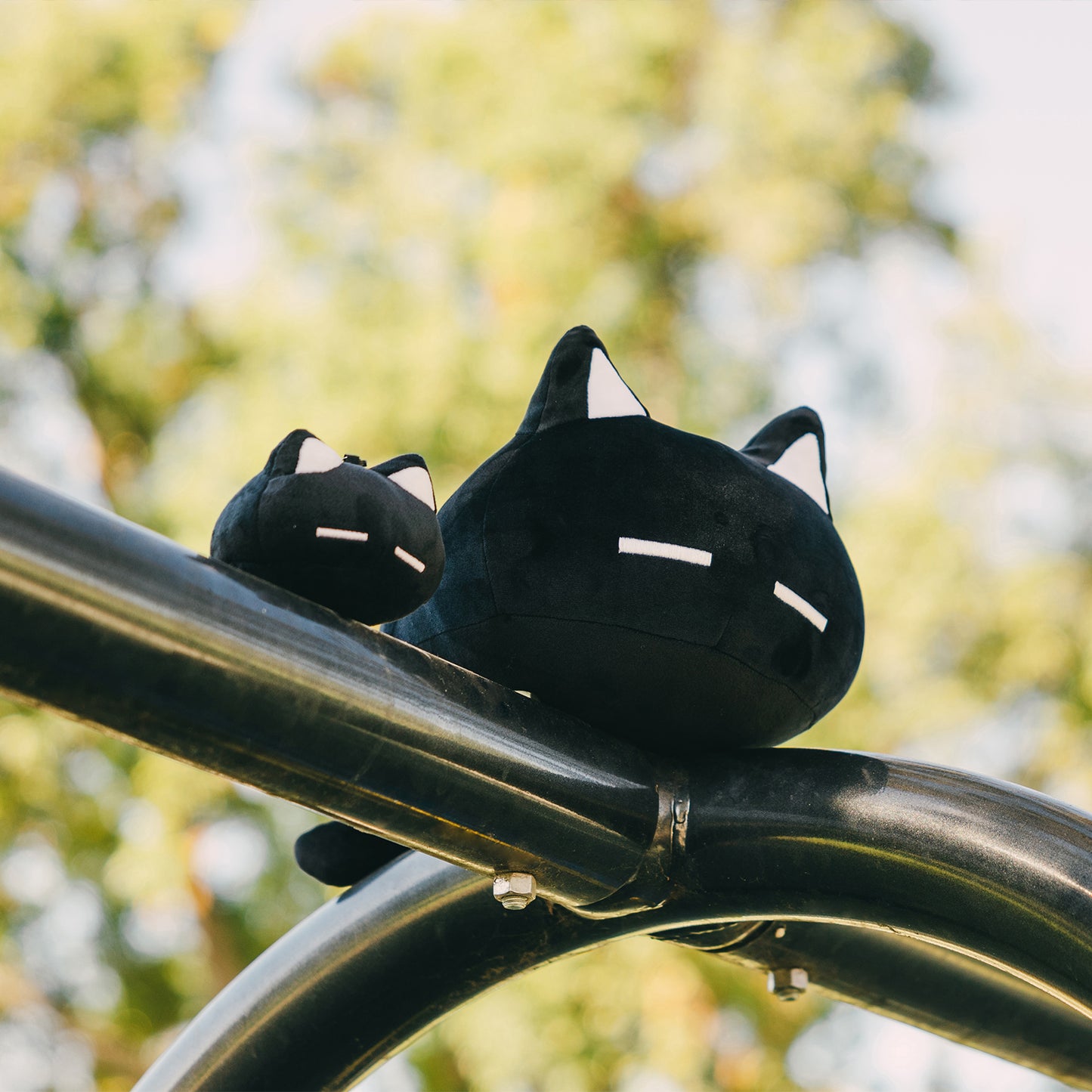 OMOCAT