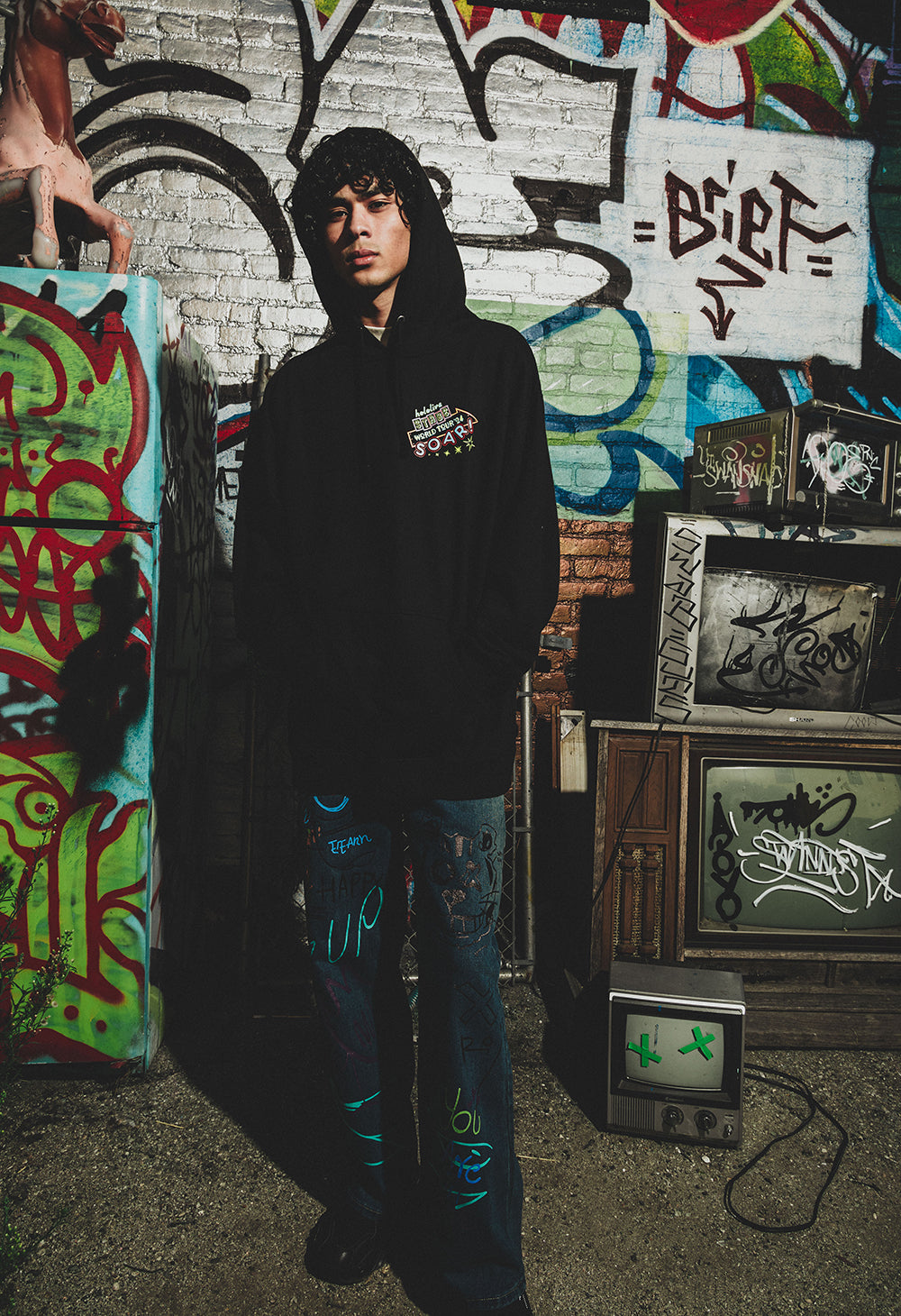 
                  
                    hololive STAGE World Tour ‘24 -Soar!- Hoodie
                  
                