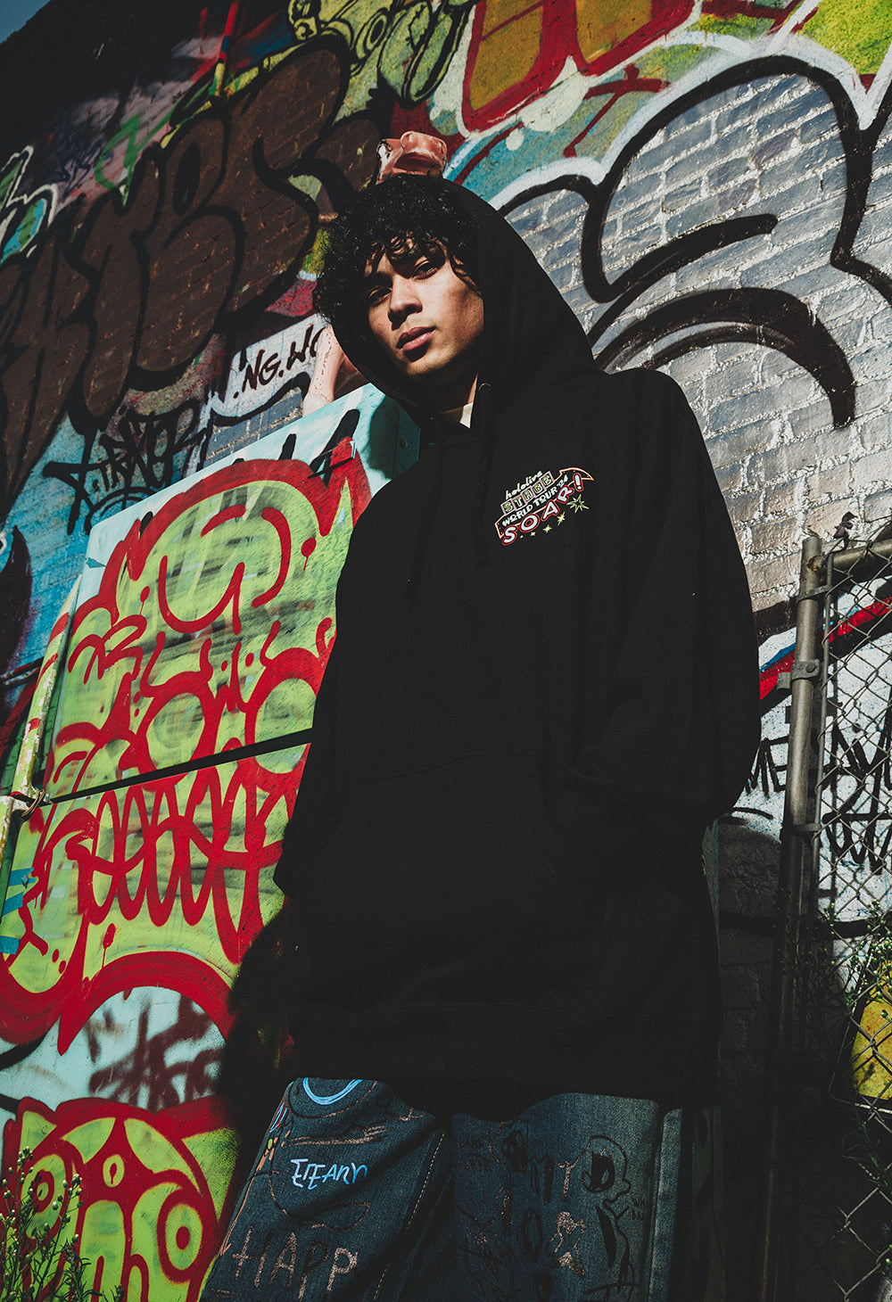 
                  
                    hololive STAGE World Tour ‘24 -Soar!- Hoodie
                  
                