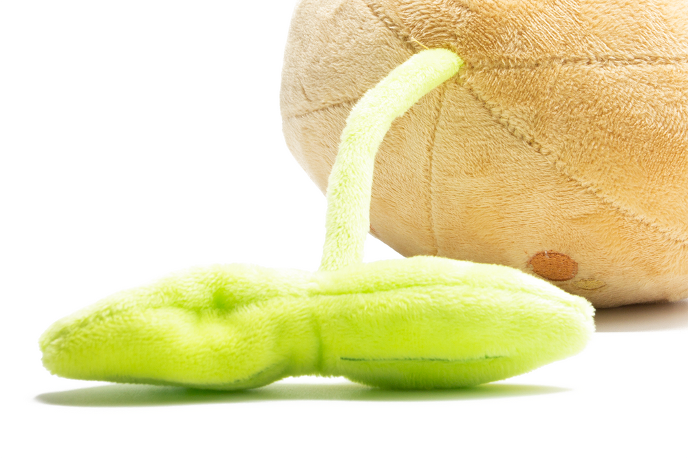 SPROUT MOLE Plush – OMOCAT SPROUT MOLE Plush – OMOCAT