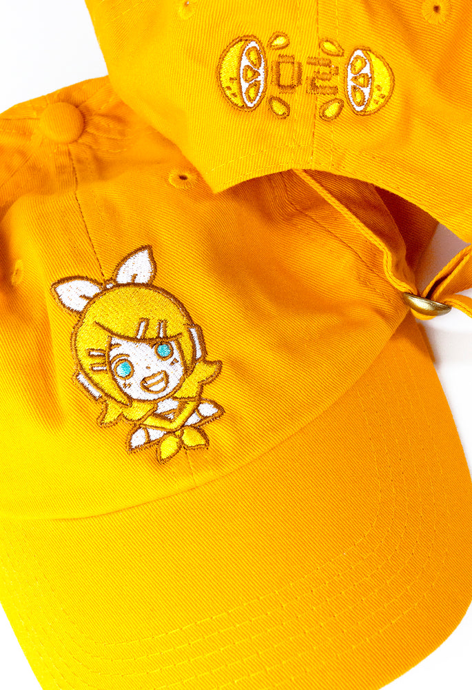 
                  
                    RIN Cap
                  
                