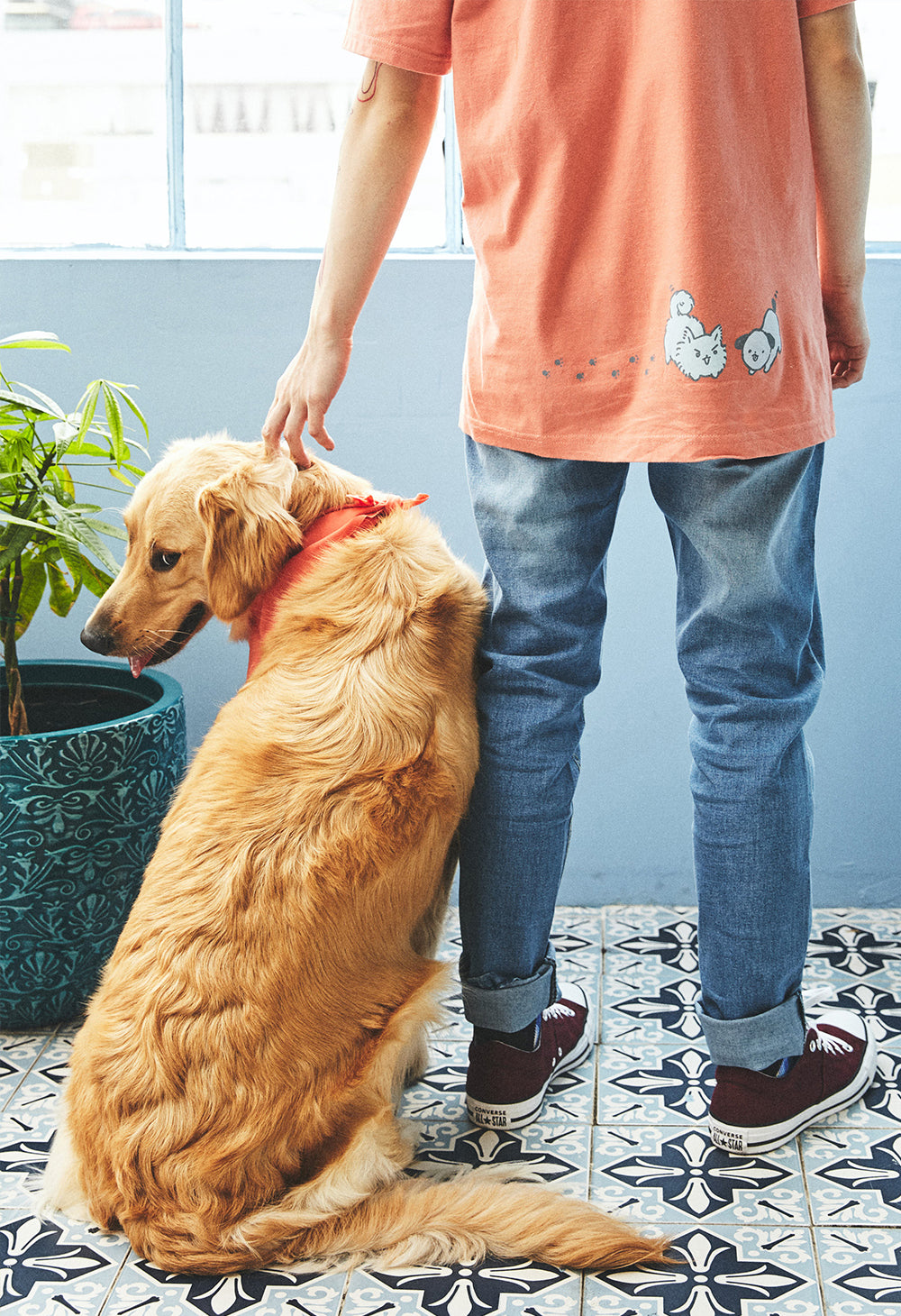 DOG T-Shirt – OMOCAT